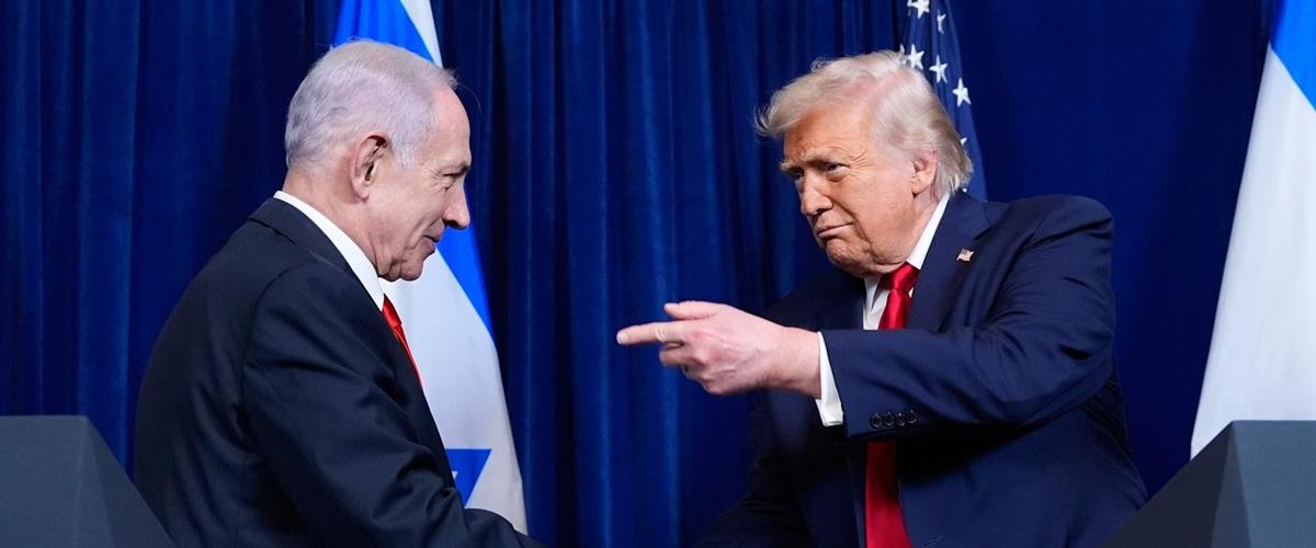 5428221263712879 cats