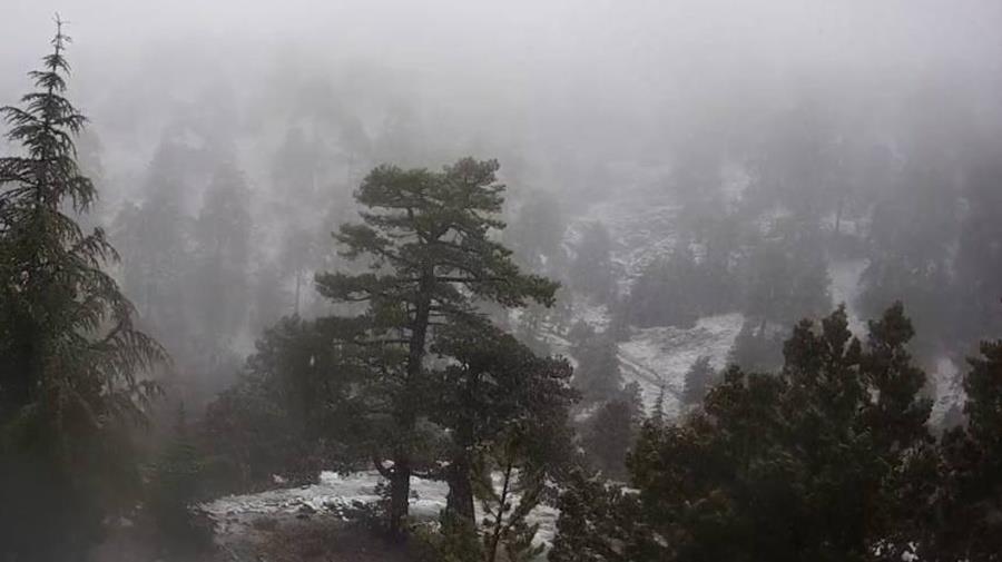 5428227864972265 cats