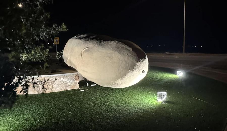 5428400773187302 cats