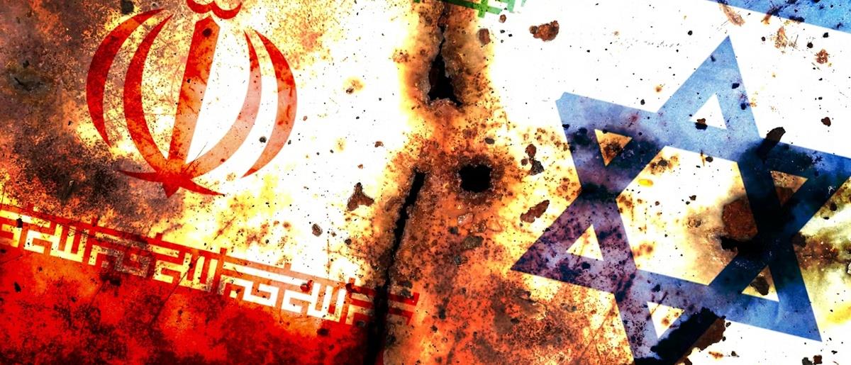 5428416349561805 cats