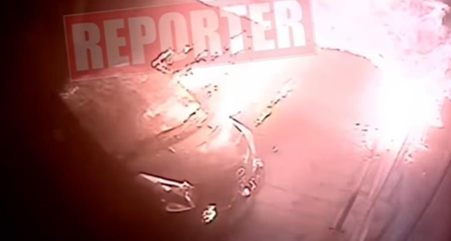 5428805107056740 cats