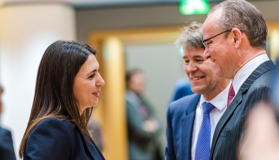 5428883562945345 cats