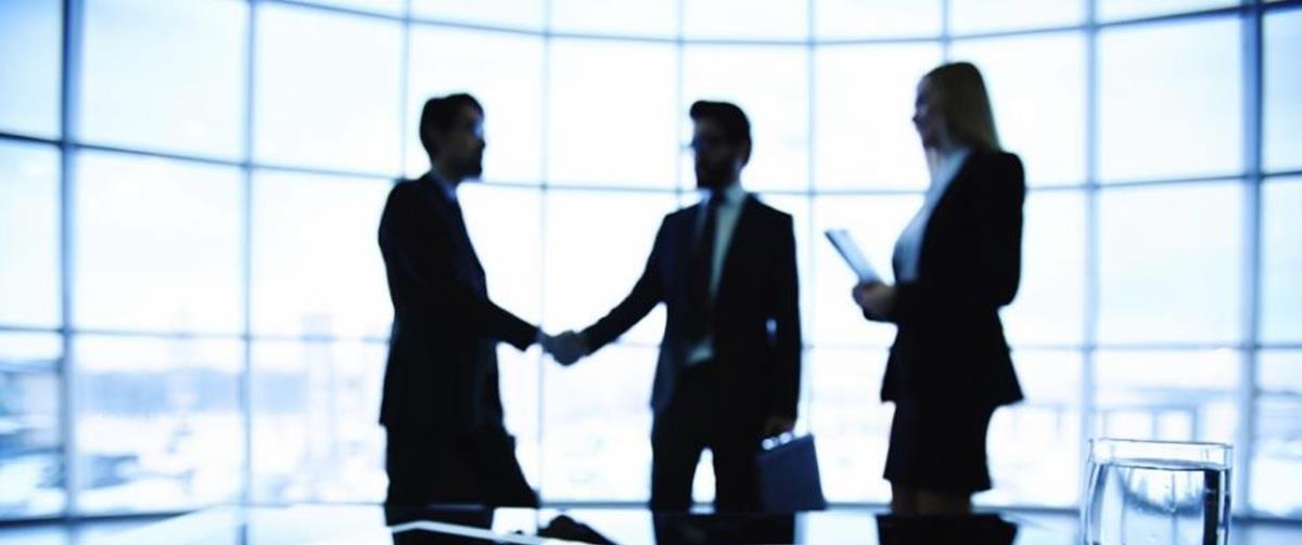 5428975180652636 cats