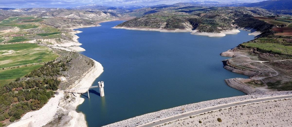 5429010095090734 image