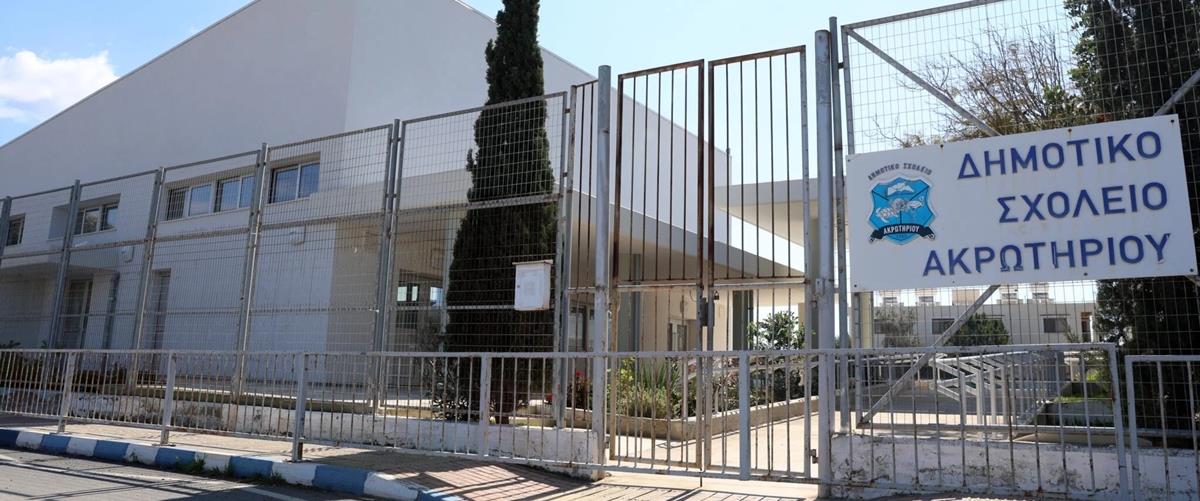 5429043382252840 cats