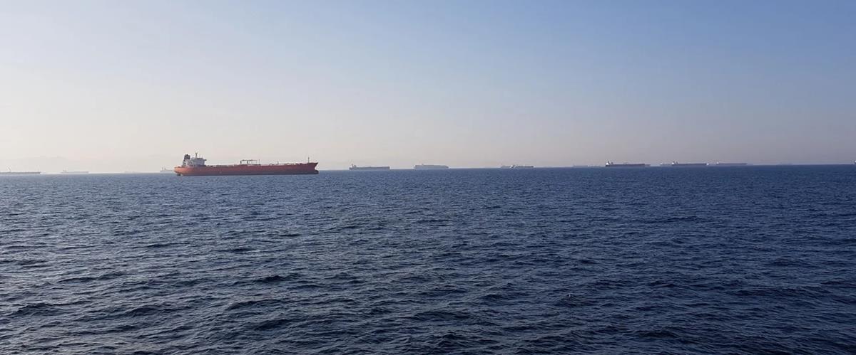 5429102044187759 cats