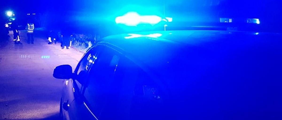 5429860365855995 image