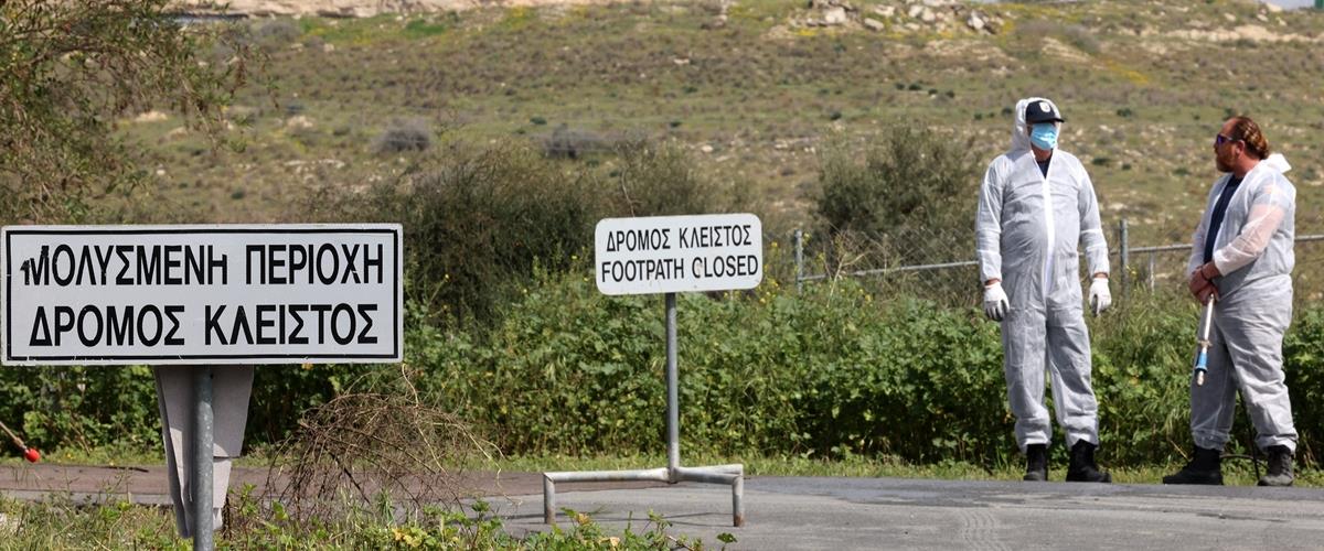 5429865143820289 cats