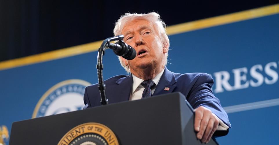 5429948160557562 image