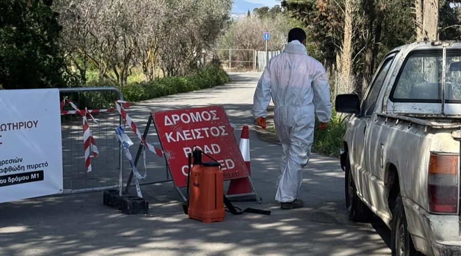 5430688626331147 b 555