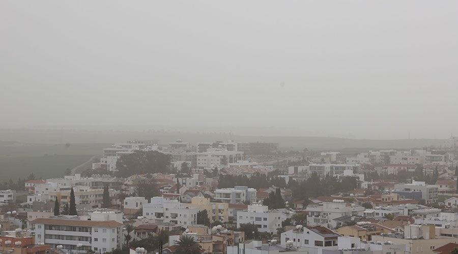 5430695454608967 b skoni