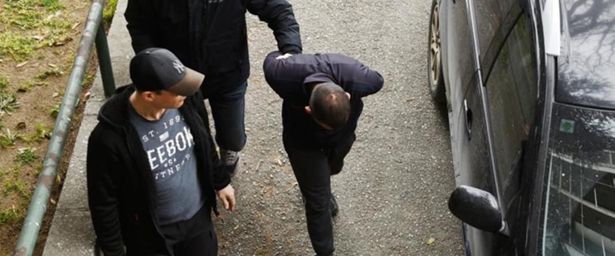 5430893140649100 cats