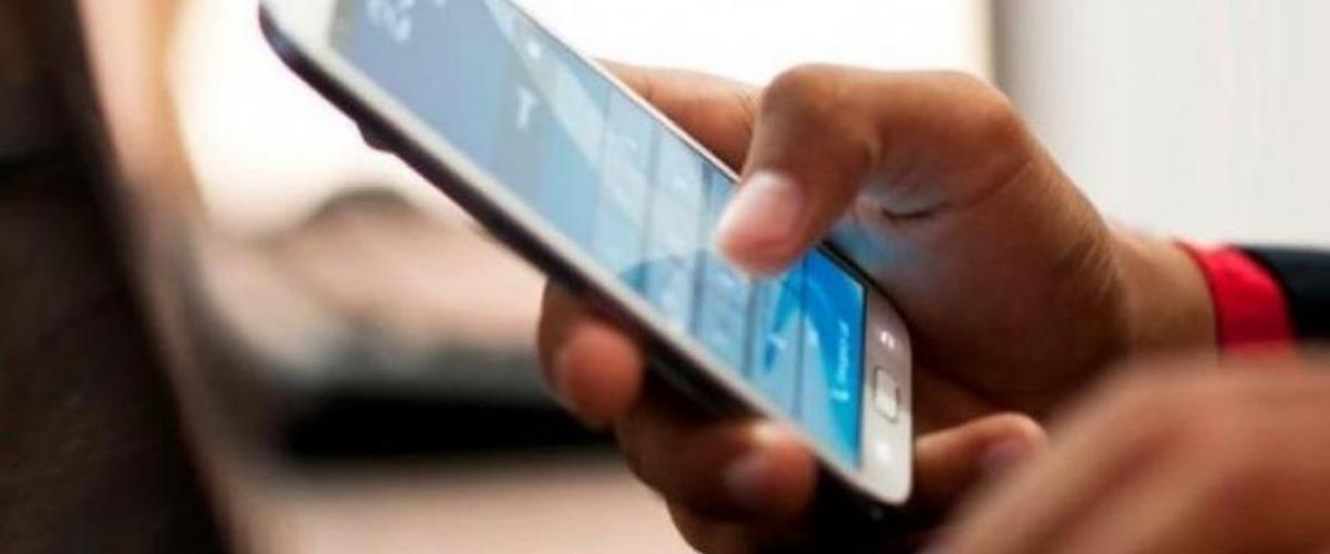 5430900414295559 cats