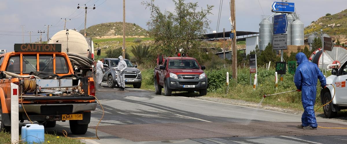 5430931679275092 cats