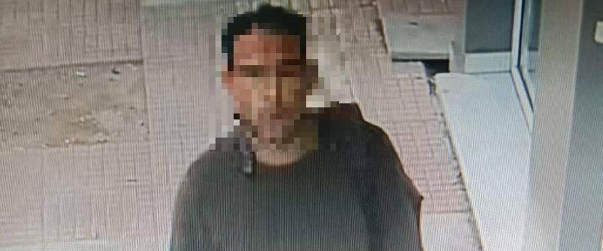 5431020565781626 cats