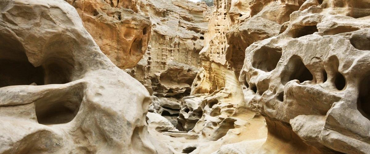 5431023655027264 cats