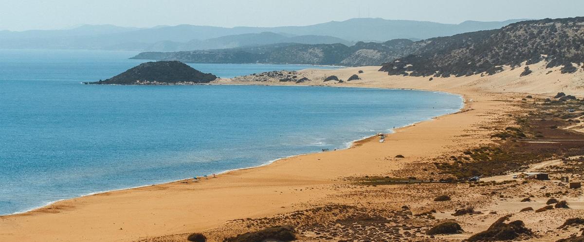 5431028942142843 cats