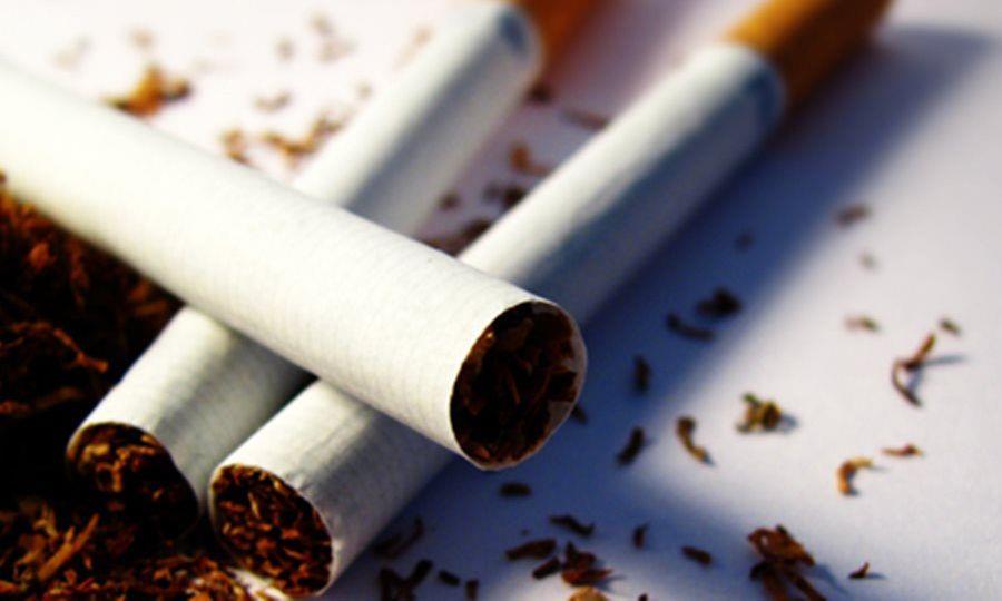 5431387068699455 image