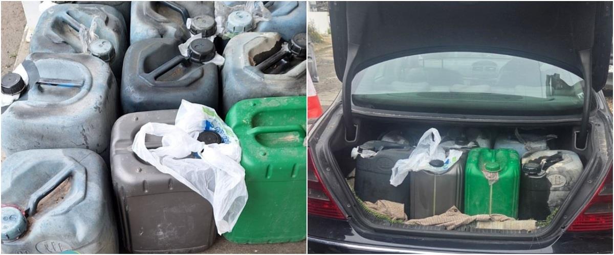 5431669303221410 collage1455