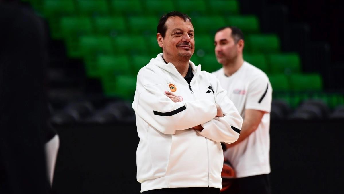 5431703372080504 image