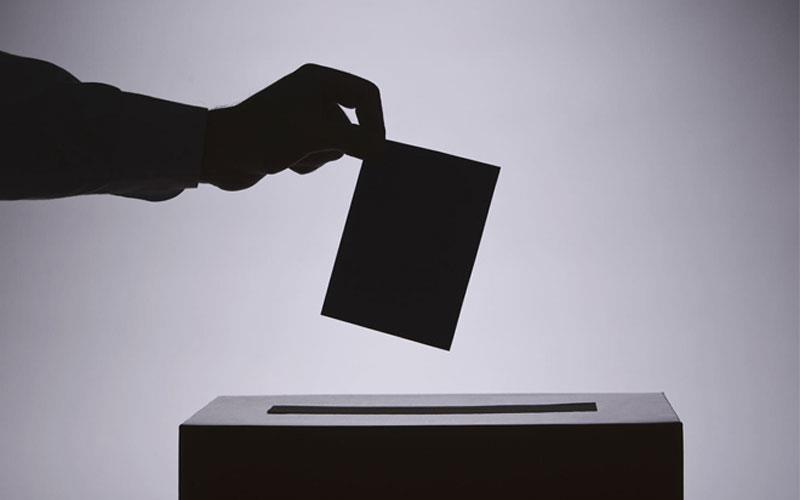 5431859447594019 image