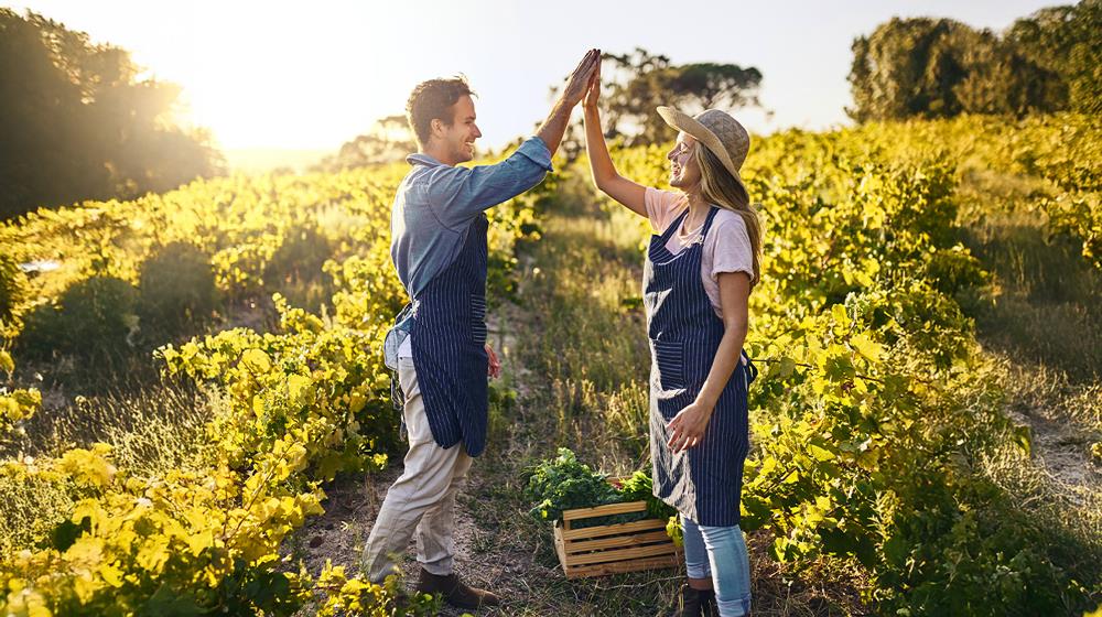 5432355300005240 cover photo