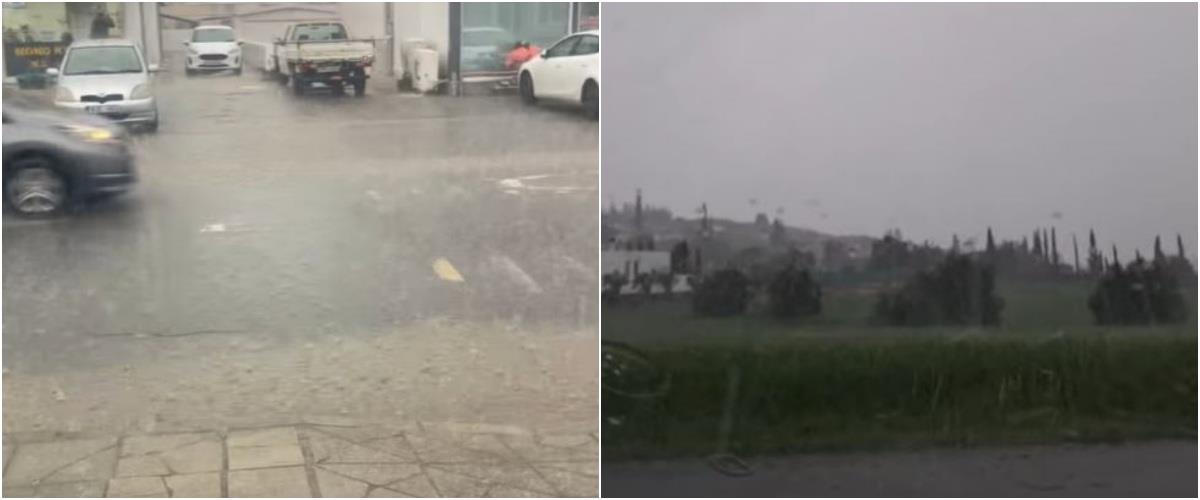 5432539949572042 collage5685