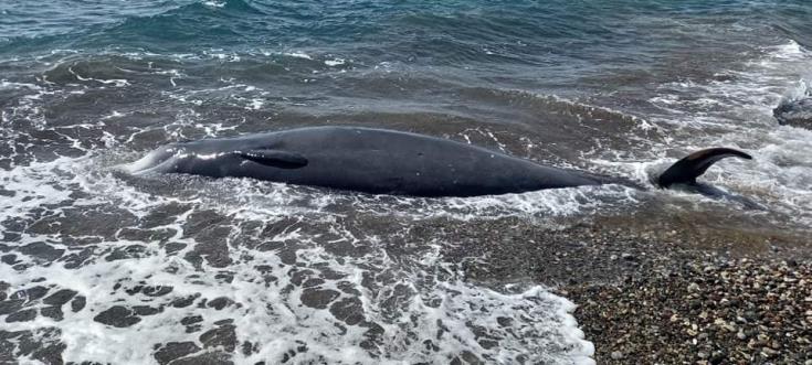 5432676591480518 image