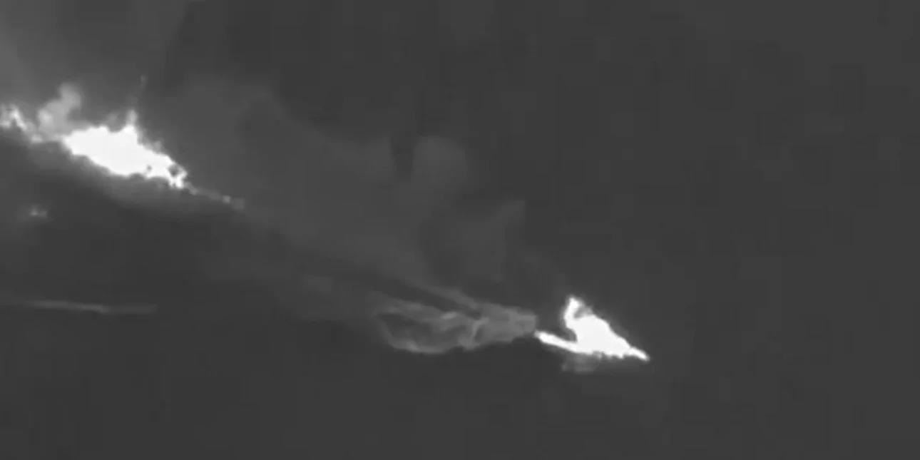 5432744419393953 image