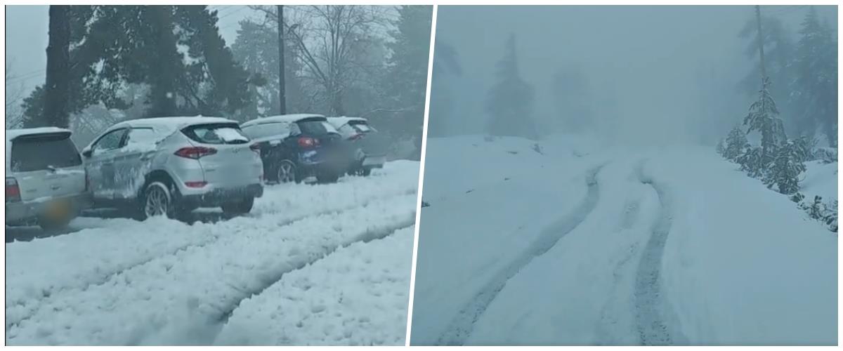 5433216157241328 collage1