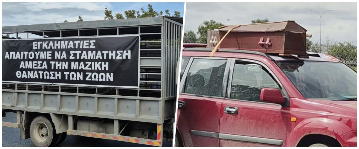 5433220022385970 collage