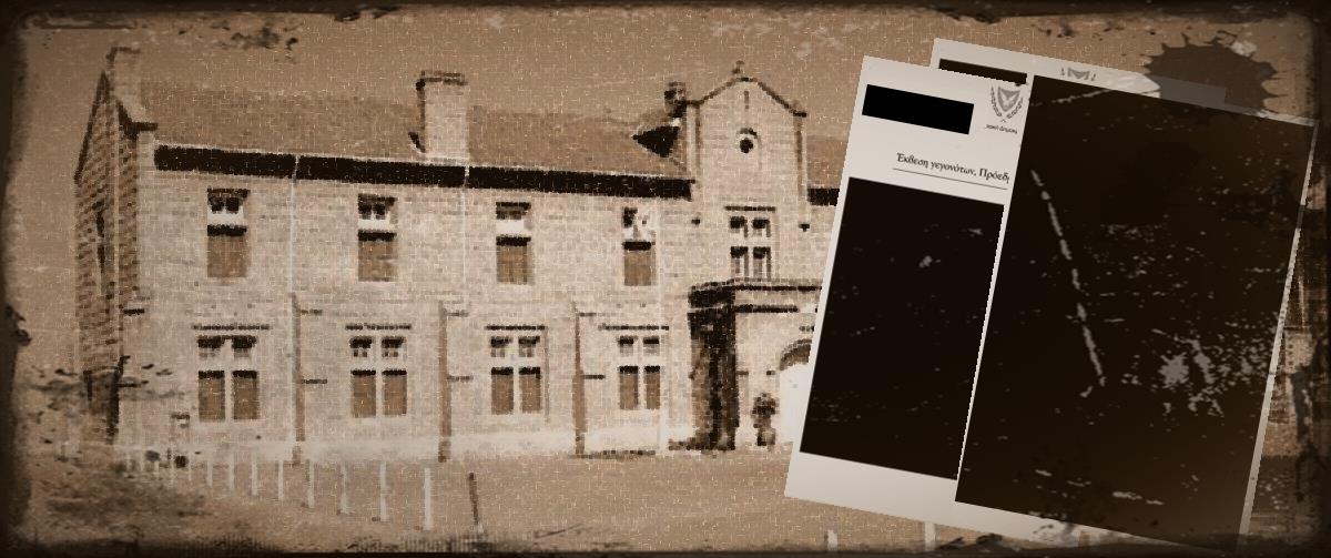 5433406454833217 cats