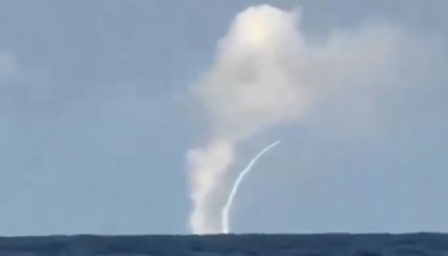 5434109751143252 cats