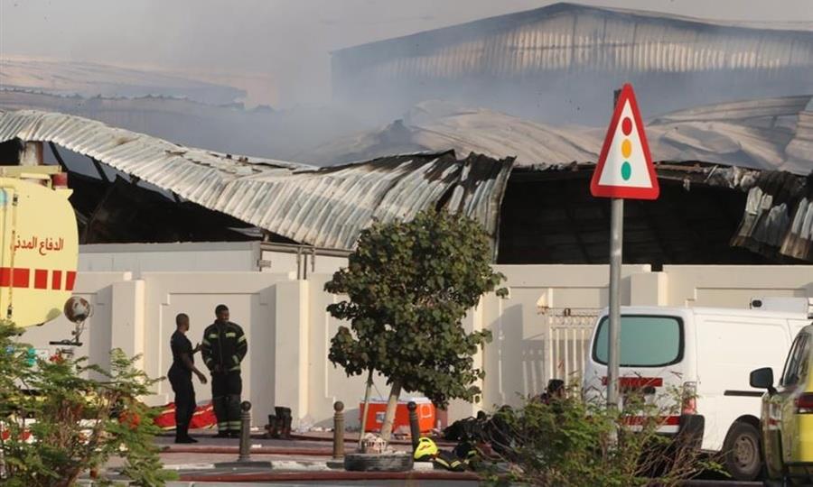 5434271986146553 cats