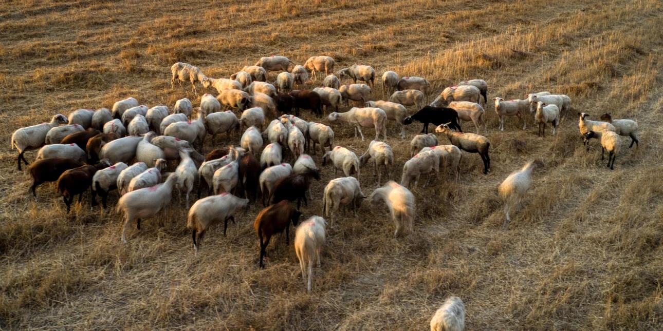 5434273653280712 image