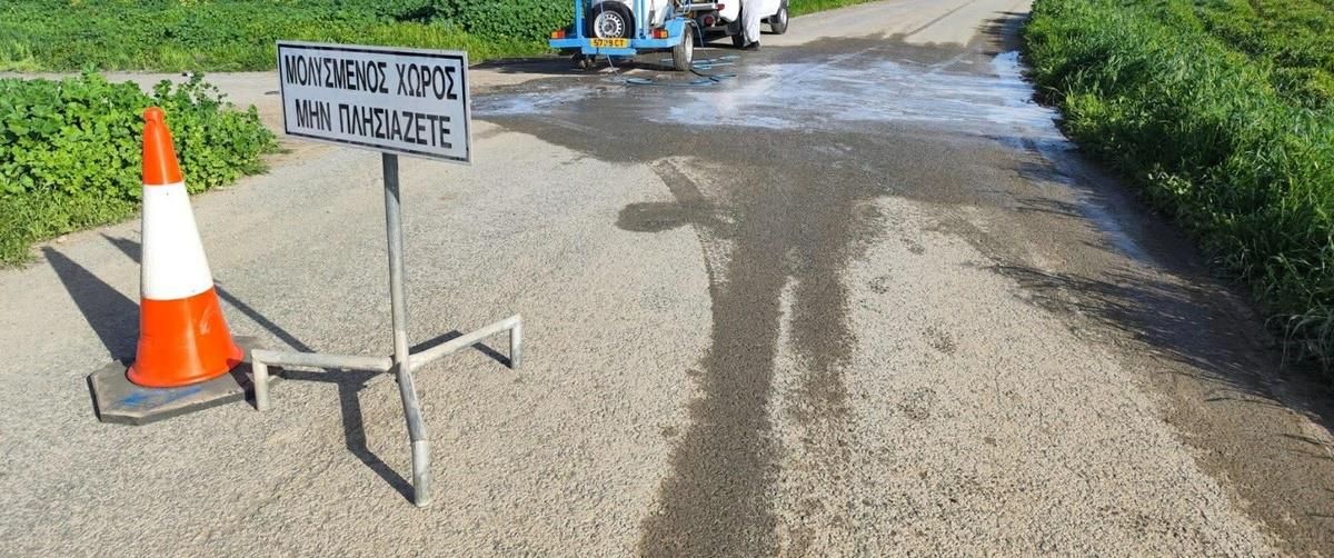 5434286368272826 cats