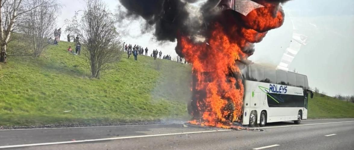 5434333928580693 cats