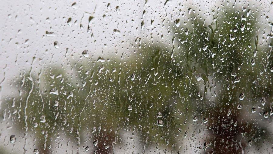 5434882081883432 image