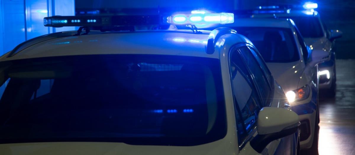 5434929890184763 cats