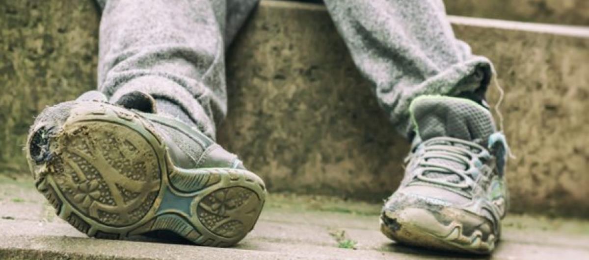 5435059602096994 cats