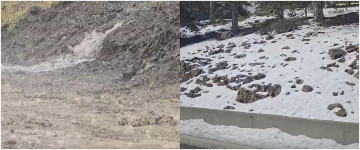 5435107890533489 collage12465