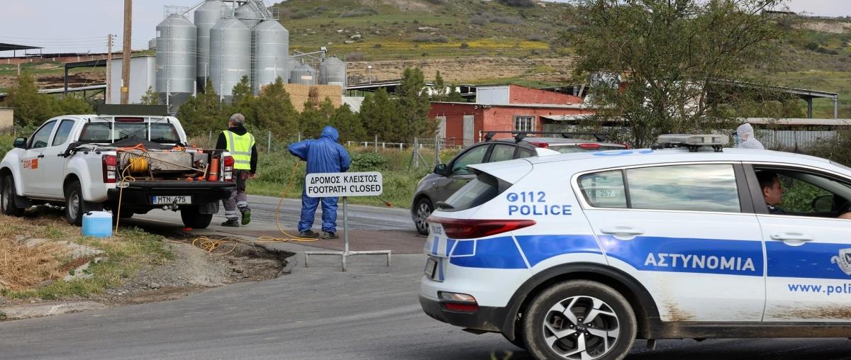 5435172407984738 adthodis piretos