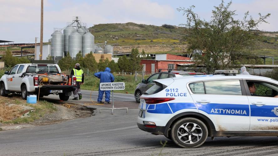 5435908153513540 image