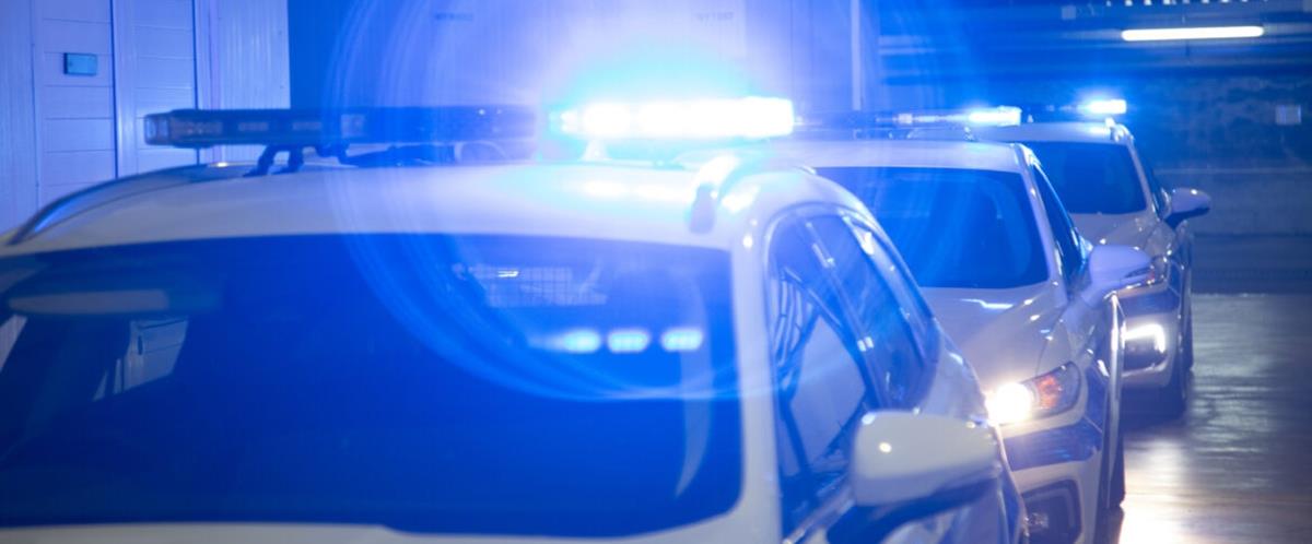 5436578571965186 cats