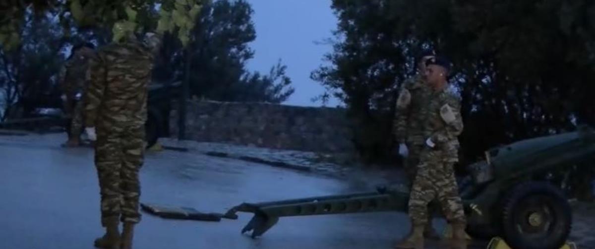 5436579819365276 cats