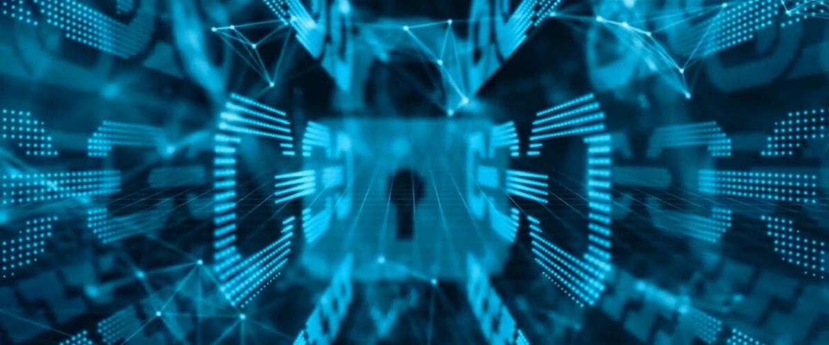 5436642066071558 cats