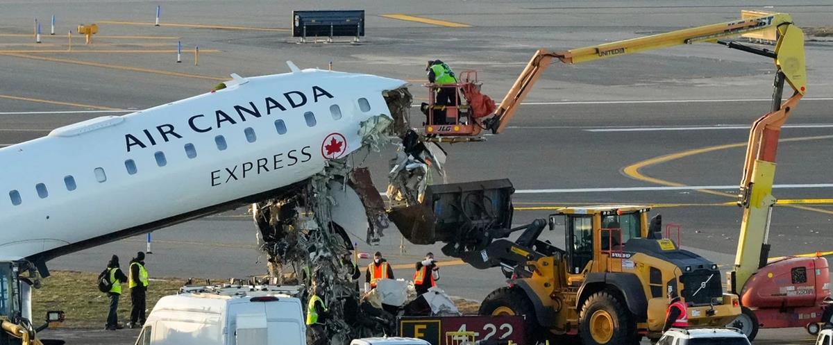 5436709233372017 cats