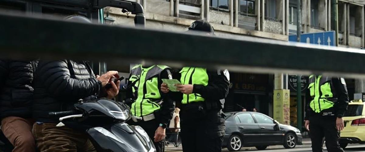 5436717510556299 cats