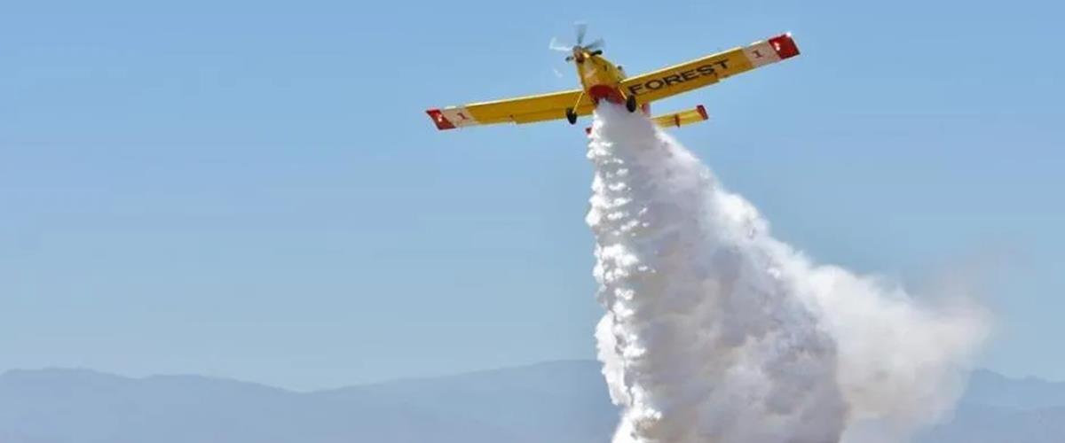 5436819365914637 cats