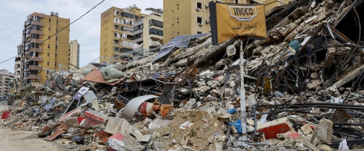 5436852756129801 cats